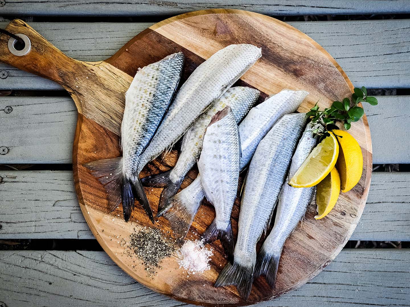 Do Fish Really Make You Smarter