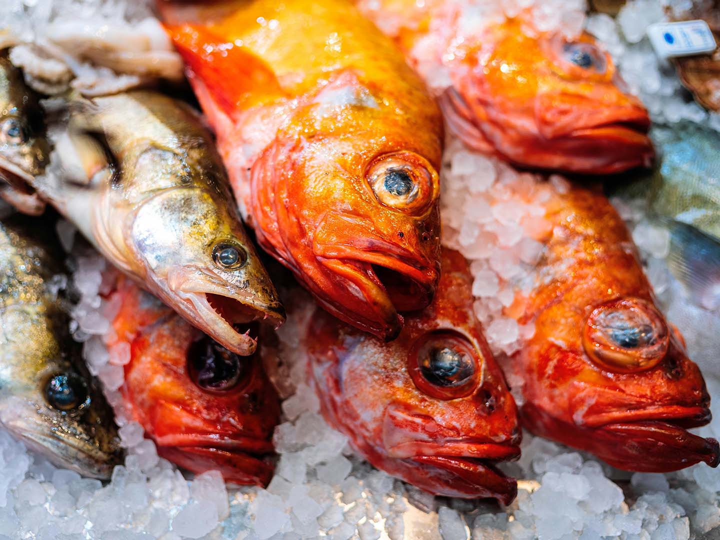 Is Fresh Seafood Always Better Than Frozen copy