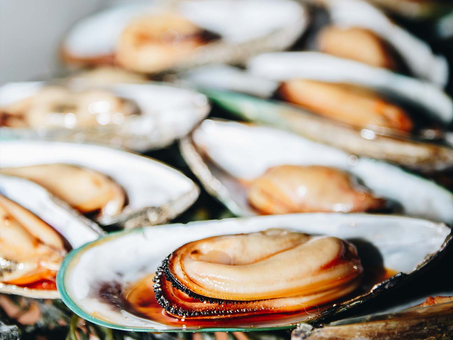 Is Fresh Seafood Always Better Than Frozen