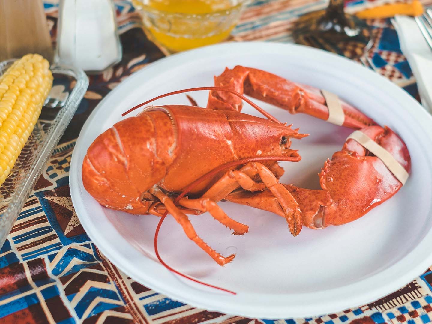 Myth or Fact? Mercury in Seafood is Dangerous