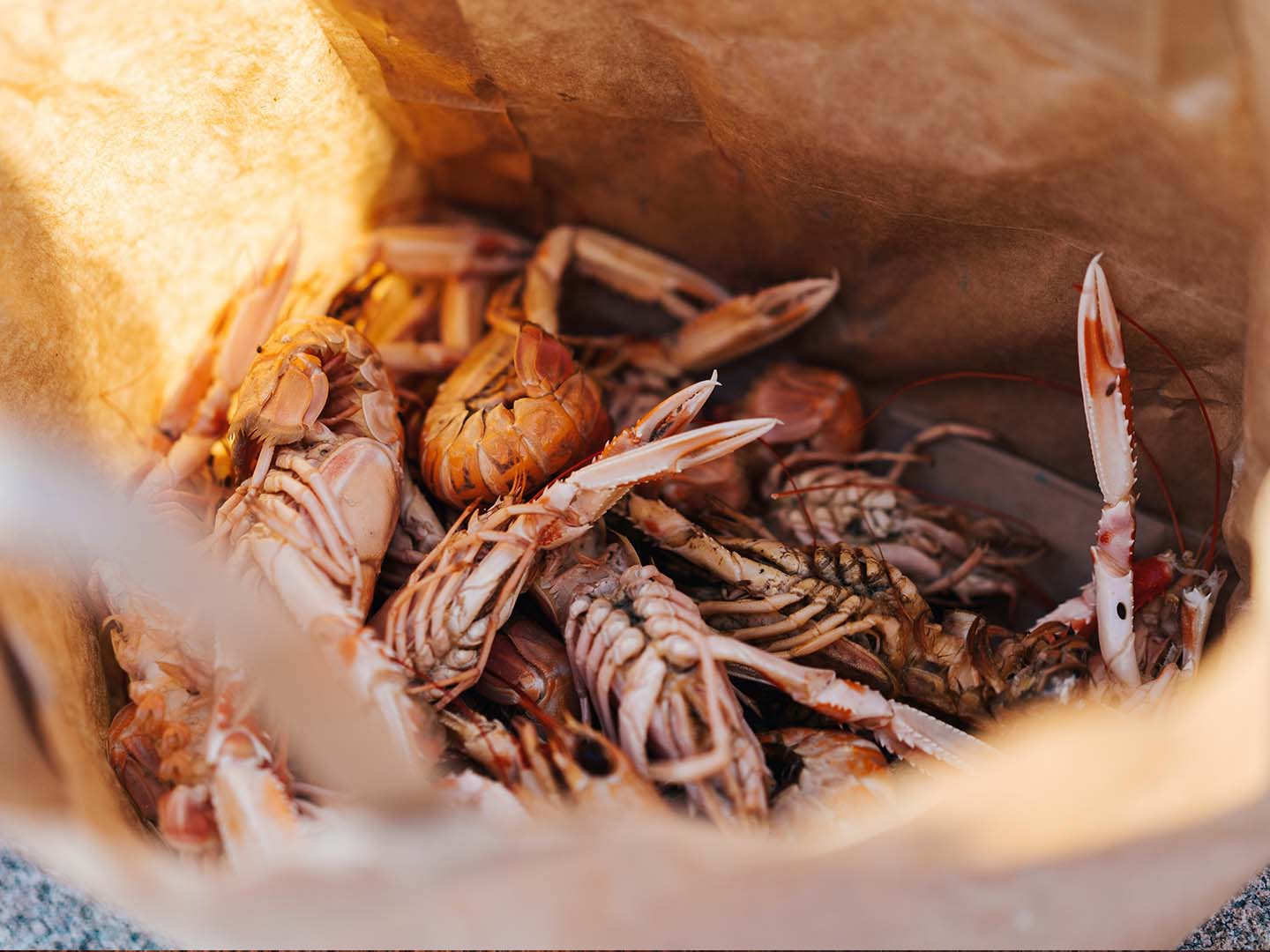 Weight Loss Made Easy Why Seafood is the Best Choice